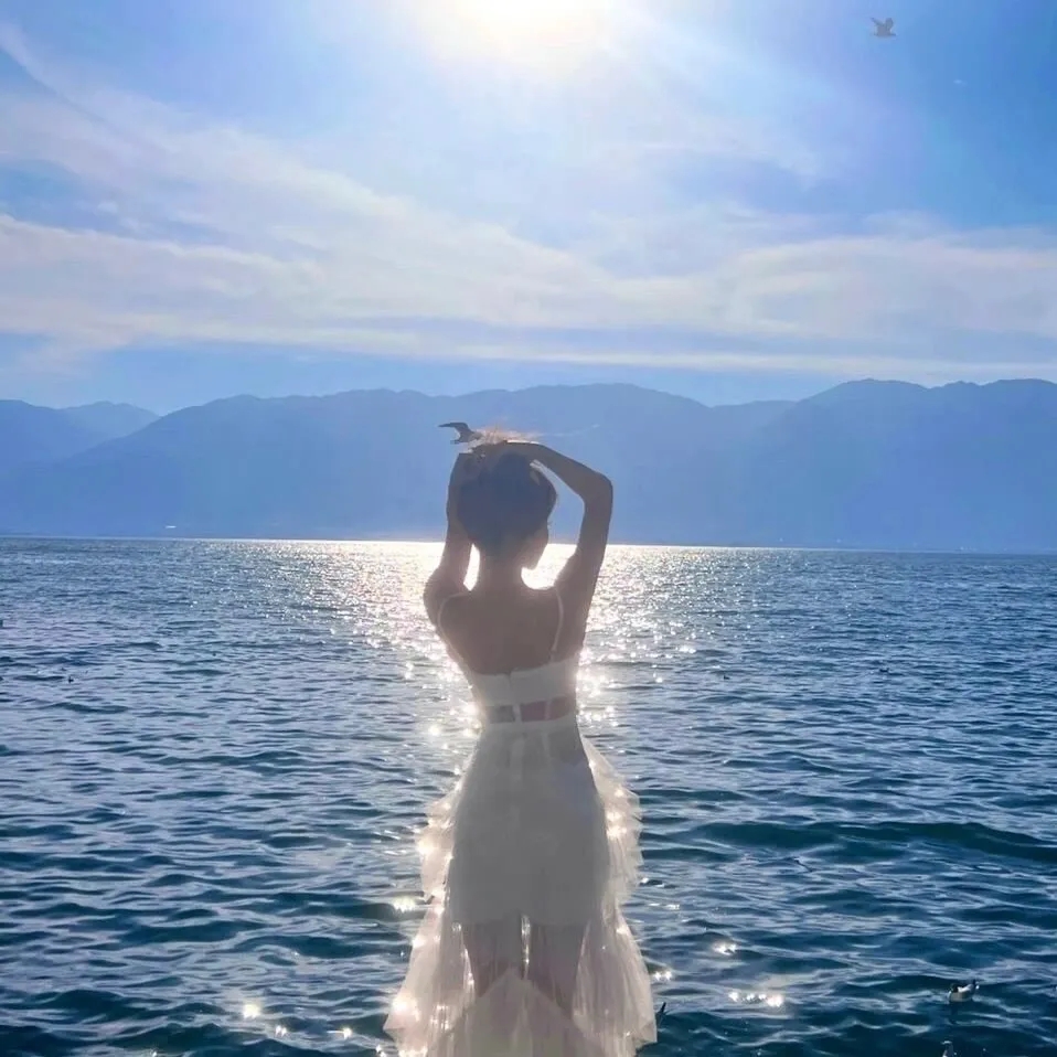 鲤氏侦探事务所国语